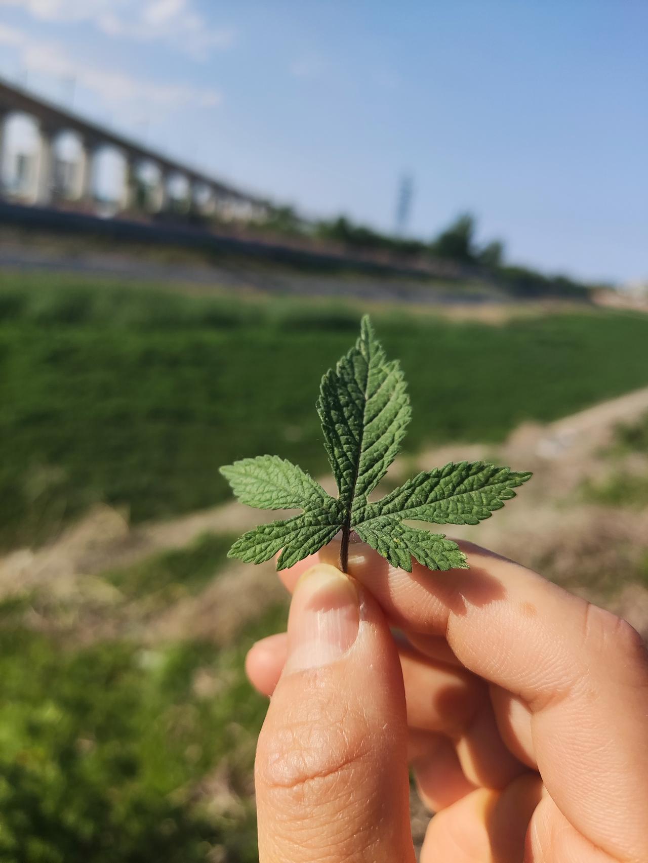 斯巴鲁BRZ 问一下圈内大佬们！这车是不是和丰田supra算是一辆车呢？