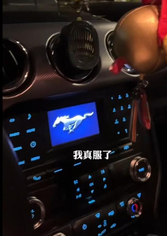 福特Mustang 这是福特野马几系列的