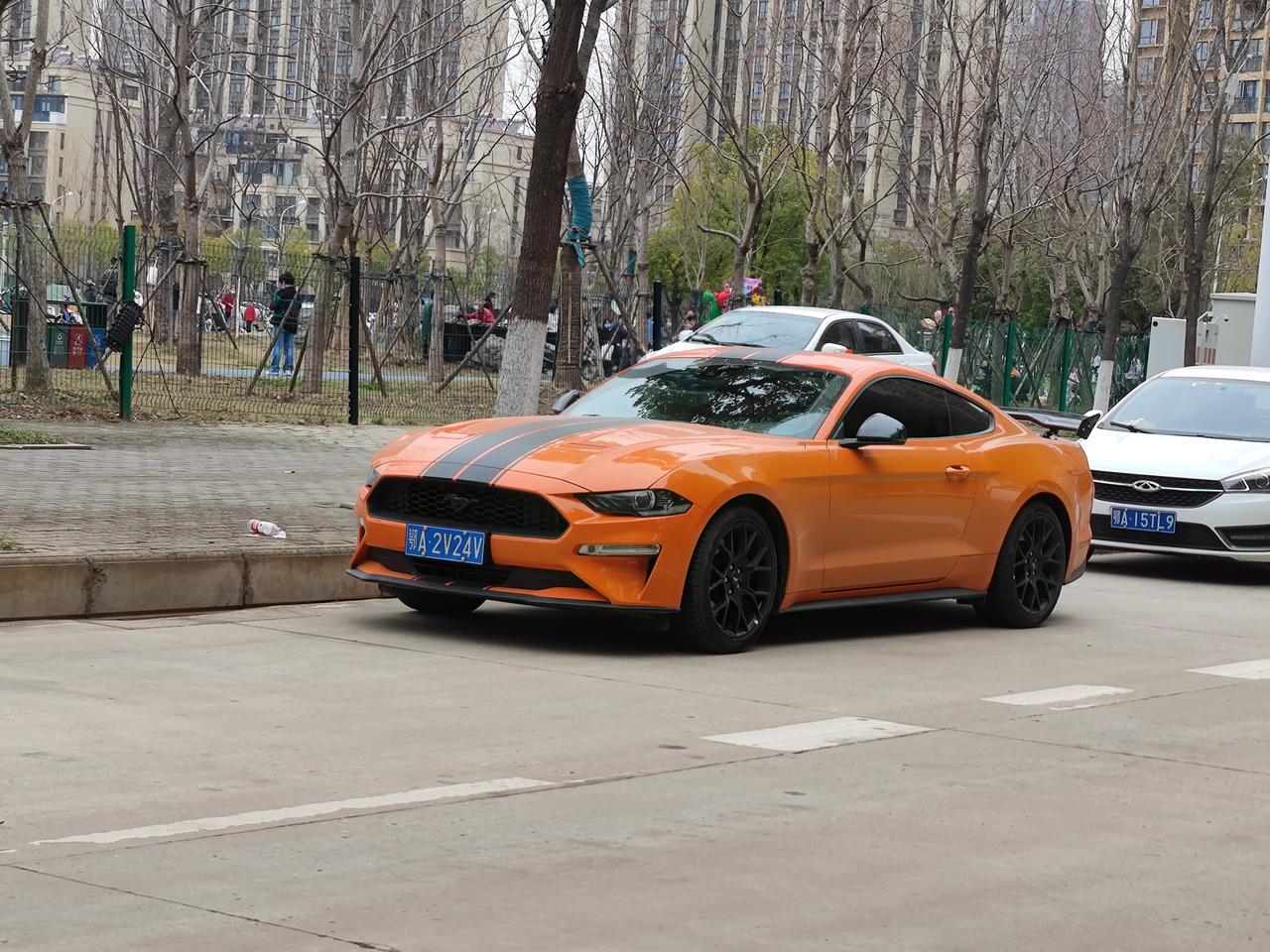 福特Mustang 我想知道什么模式起步推背感最强？直线加速，还是运动+  研究了半天，还有就是弹射用多少转合适呢？我用