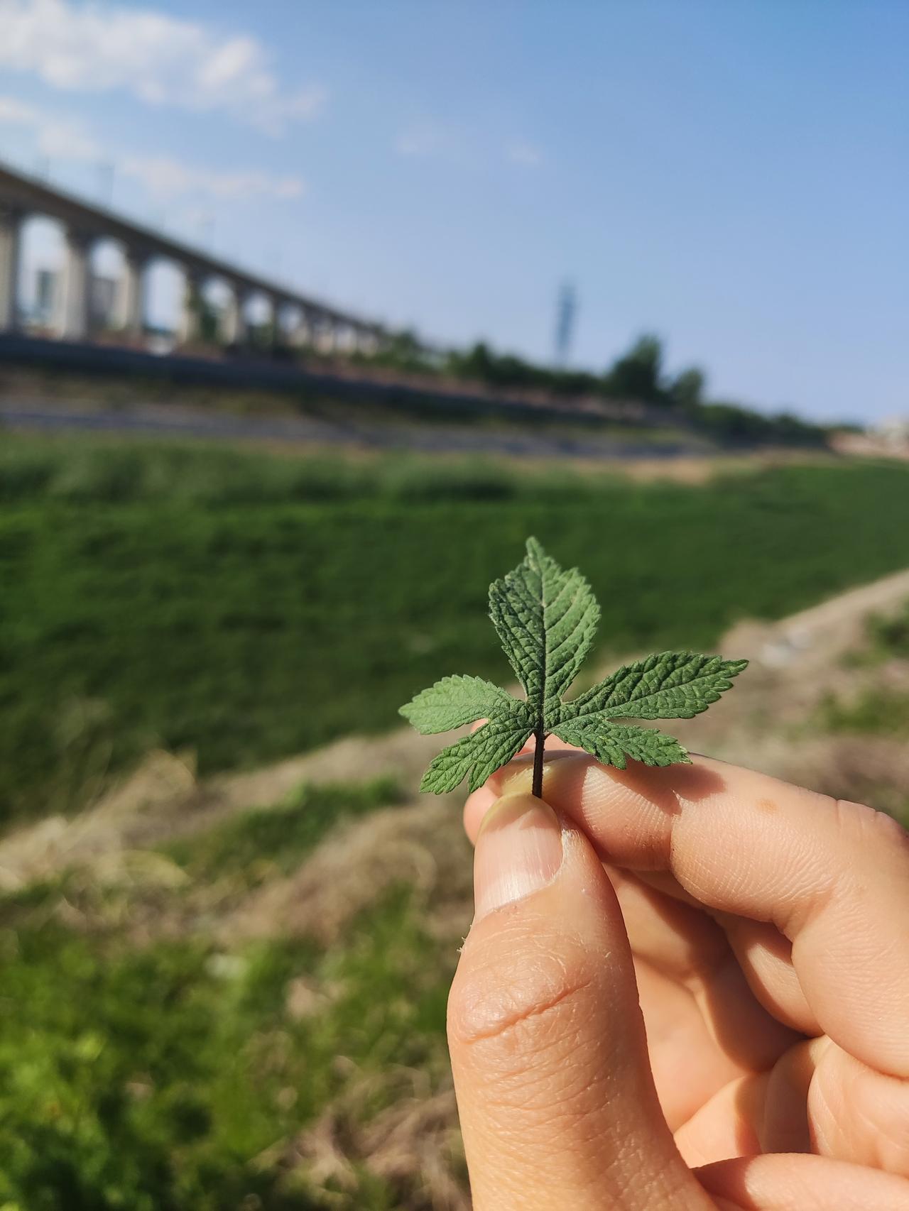 岚图梦想家 PHEV 梦想家适合家用还是适合商用？家用的话空间可以吗？