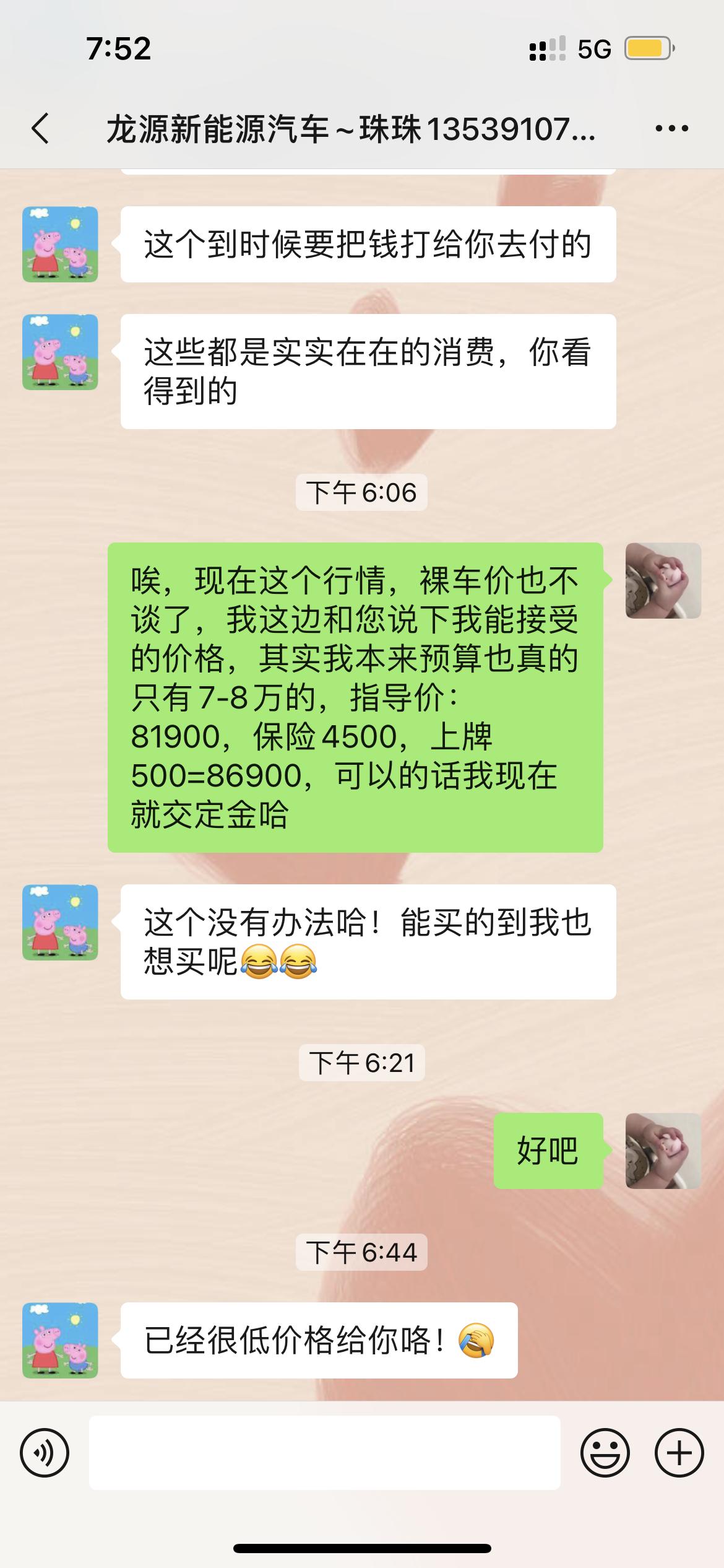 哪吒哪吒V 今天去咨询了哪吒v400，裸车价一分不减：81900，车险4500，上牌费1500，金融费1000，精品费1