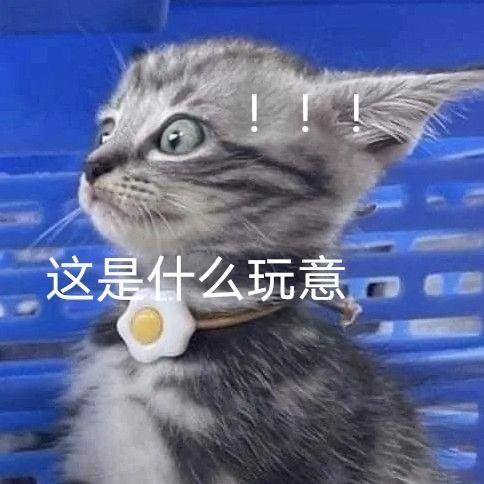 欧拉芭蕾猫 女孩子的钱真的这么好赚吗？