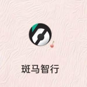 朋友吗  有没有车是21款荣威i5  斑马系统的？买车后下载了个 斑马智行，可以看到车的位置  也可以看到人的位置，非常