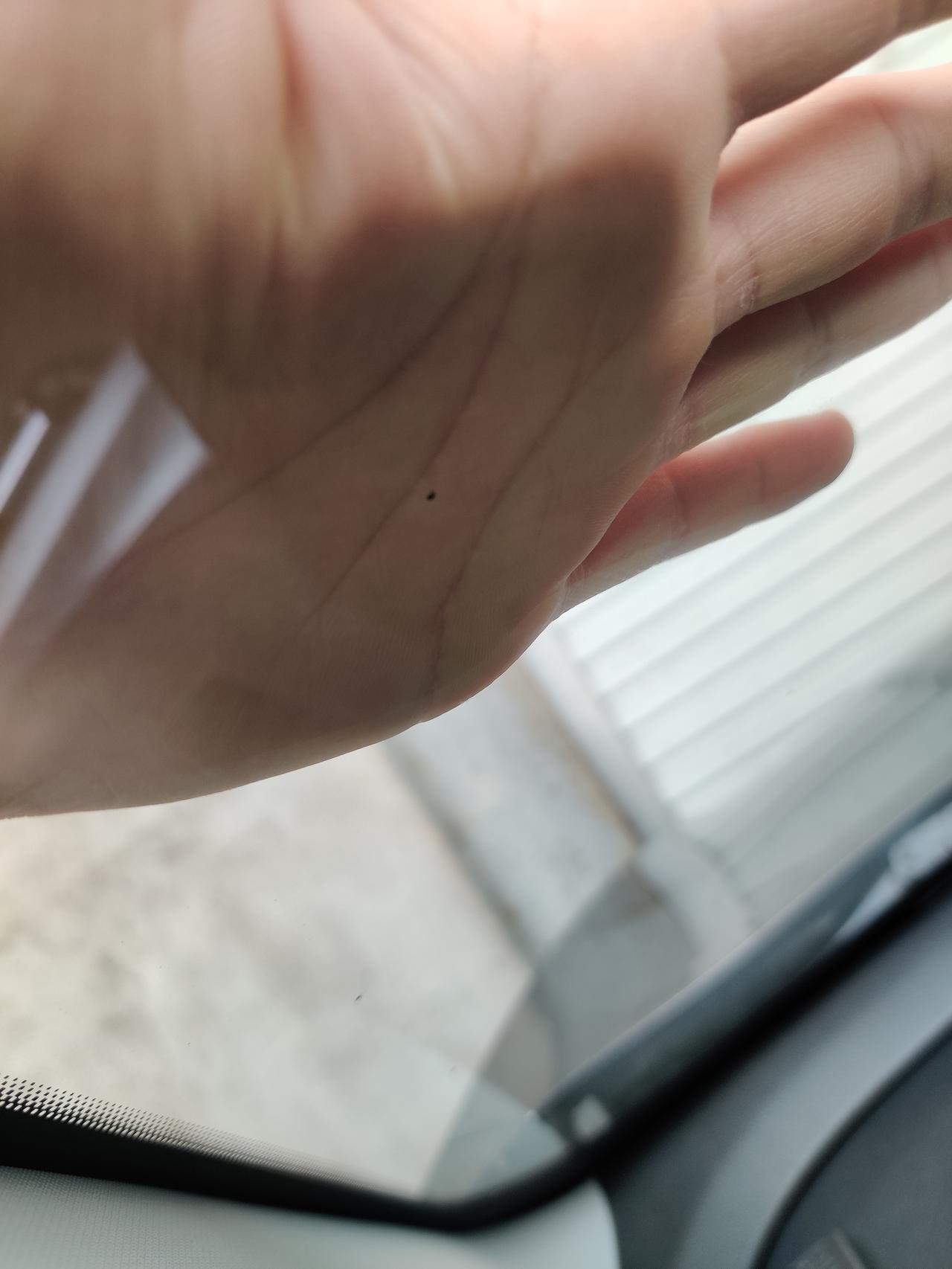 奇瑞瑞虎5x 今天开雨刮发现玻璃上有个小黑点刮不干净，以为是顽固污渍，跑到车外一看发现是一个小凹坑，0.5-1毫米大。严